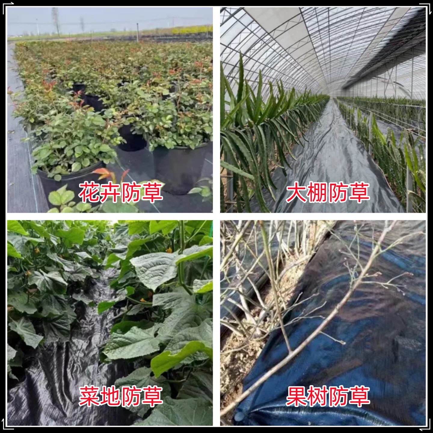 商洛市黑白养殖膜防草布 - 哪里好